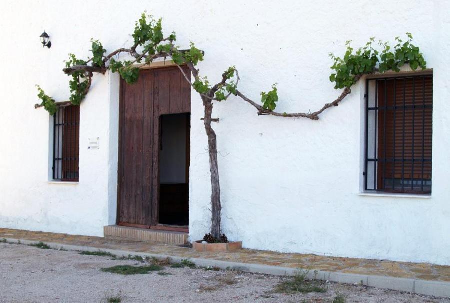 Casa Rural Casa Maxima Йекла Стая снимка